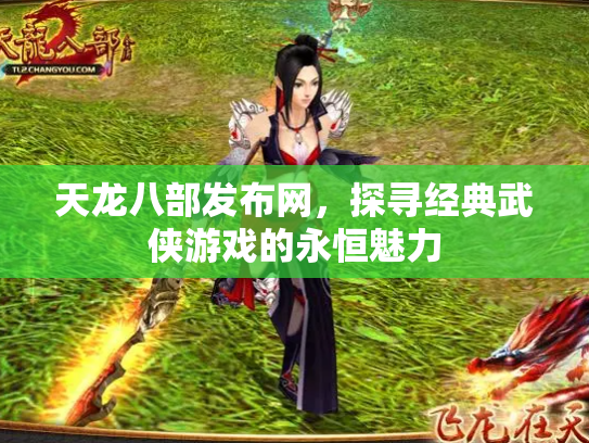 天龙八部发布网，探寻经典武侠游戏的永恒魅力