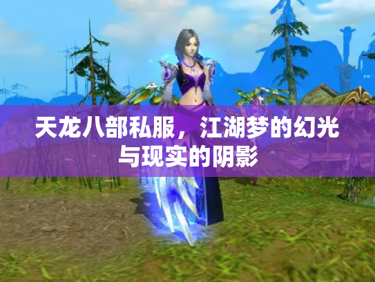 天龙八部私服，江湖梦的幻光与现实的阴影