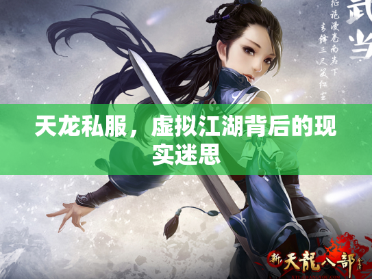 天龙私服，虚拟江湖背后的现实迷思