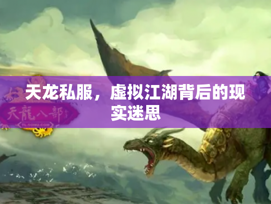 天龙私服，虚拟江湖背后的现实迷思