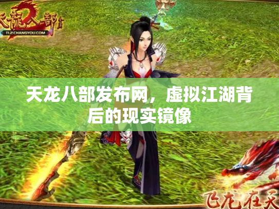天龙八部发布网，虚拟江湖背后的现实镜像
