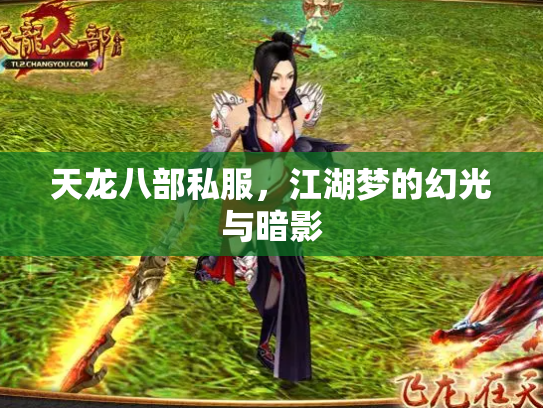 天龙八部私服，江湖梦的幻光与暗影