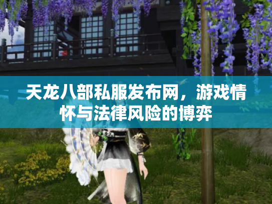天龙八部私服发布网，游戏情怀与法律风险的博弈