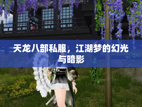 天龙八部私服，江湖梦的幻光与暗影
