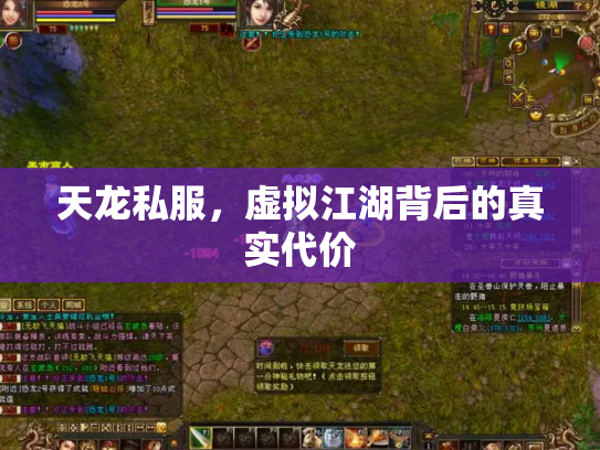 天龙私服，虚拟江湖背后的真实代价