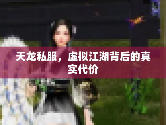 天龙私服，虚拟江湖背后的真实代价