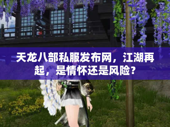 天龙八部私服发布网，江湖再起，是情怀还是风险？