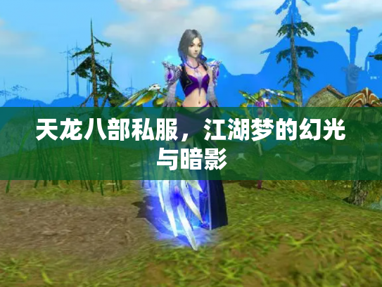 天龙八部私服，江湖梦的幻光与暗影