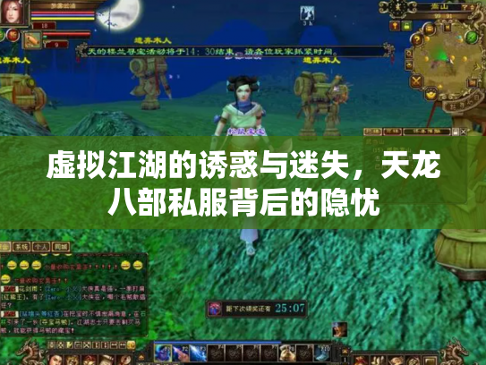 虚拟江湖的诱惑与迷失，天龙八部私服背后的隐忧