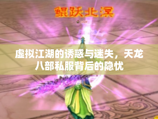 虚拟江湖的诱惑与迷失，天龙八部私服背后的隐忧