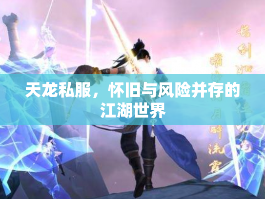 天龙私服，怀旧与风险并存的江湖世界