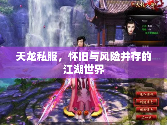 天龙私服，怀旧与风险并存的江湖世界
