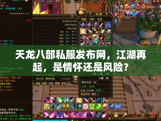天龙八部私服发布网，江湖再起，是情怀还是风险？