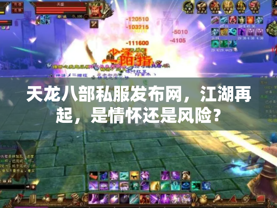 天龙八部私服发布网，江湖再起，是情怀还是风险？