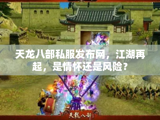天龙八部私服发布网，江湖再起，是情怀还是风险？