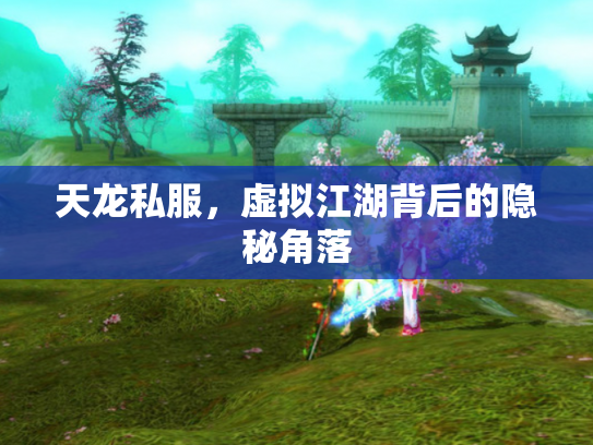 天龙私服，虚拟江湖背后的隐秘角落