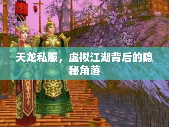 天龙私服，虚拟江湖背后的隐秘角落