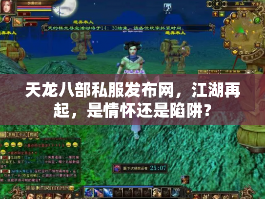 天龙八部私服发布网，江湖再起，是情怀还是陷阱？