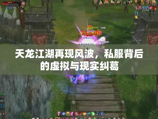 天龙江湖再现风波，私服背后的虚拟与现实纠葛
