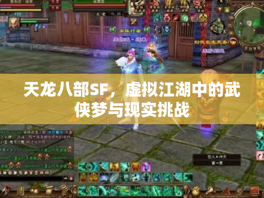 天龙八部SF，虚拟江湖中的武侠梦与现实挑战