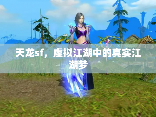 天龙sf，虚拟江湖中的真实江湖梦