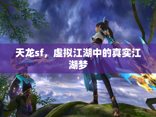 天龙sf，虚拟江湖中的真实江湖梦