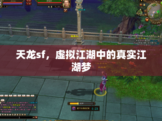 天龙sf，虚拟江湖中的真实江湖梦