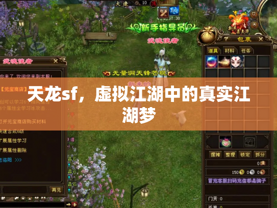 天龙sf，虚拟江湖中的真实江湖梦