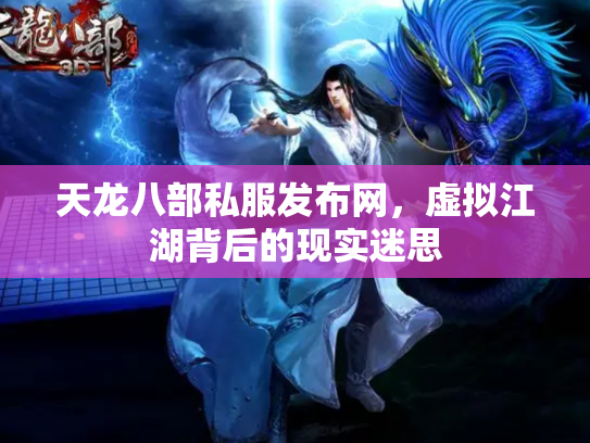 天龙八部私服发布网，虚拟江湖背后的现实迷思