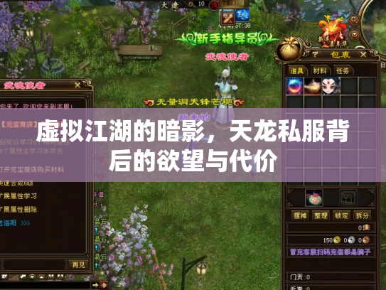 虚拟江湖的暗影，天龙私服背后的欲望与代价