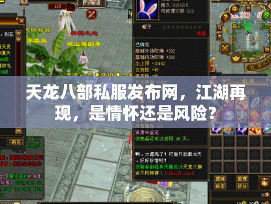 天龙八部私服发布网，江湖再现，是情怀还是风险？