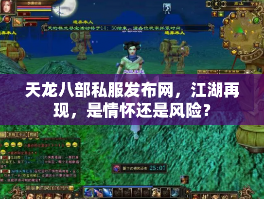 天龙八部私服发布网，江湖再现，是情怀还是风险？