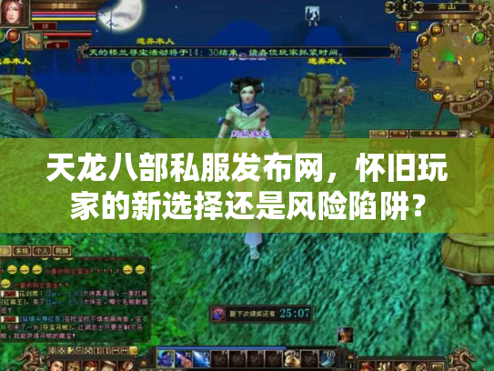天龙八部私服发布网，怀旧玩家的新选择还是风险陷阱？