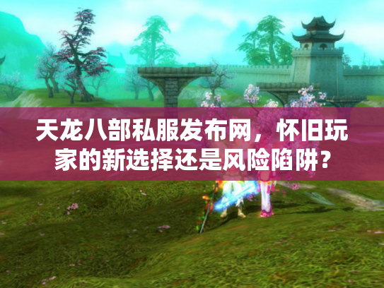 天龙八部私服发布网，怀旧玩家的新选择还是风险陷阱？