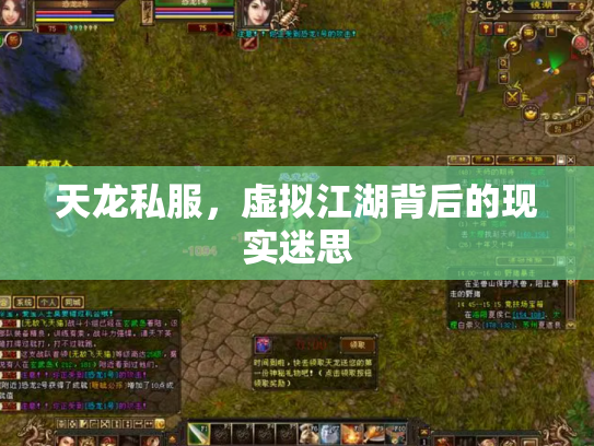 天龙私服，虚拟江湖背后的现实迷思