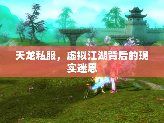 天龙私服，虚拟江湖背后的现实迷思