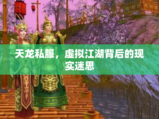 天龙私服，虚拟江湖背后的现实迷思