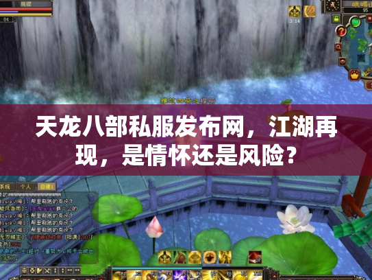 天龙八部私服发布网，江湖再现，是情怀还是风险？