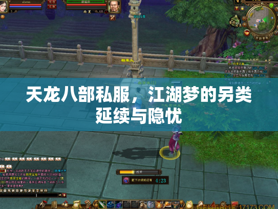 天龙八部私服，江湖梦的另类延续与隐忧