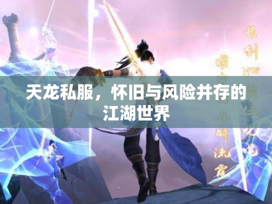 天龙私服，怀旧与风险并存的江湖世界