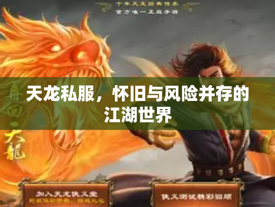 天龙私服，怀旧与风险并存的江湖世界