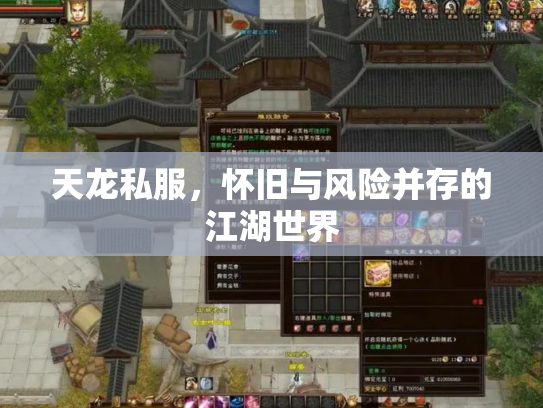 天龙私服，怀旧与风险并存的江湖世界