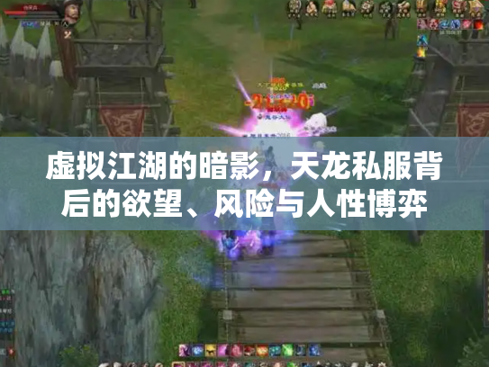 虚拟江湖的暗影，天龙私服背后的欲望、风险与人性博弈