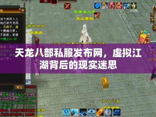 天龙八部私服发布网，虚拟江湖背后的现实迷思
