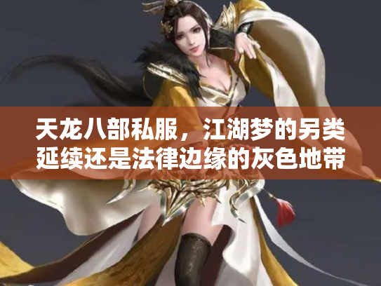 天龙八部私服，江湖梦的另类延续还是法律边缘的灰色地带？