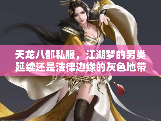 天龙八部私服，江湖梦的另类延续还是法律边缘的灰色地带？
