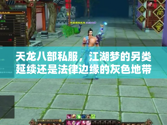 天龙八部私服，江湖梦的另类延续还是法律边缘的灰色地带？