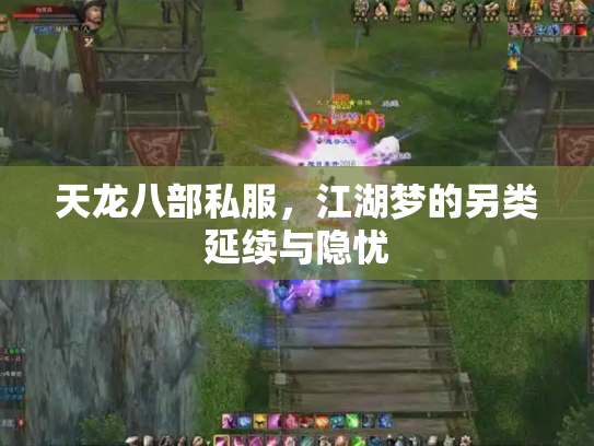 天龙八部私服，江湖梦的另类延续与隐忧