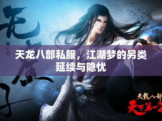 天龙八部私服，江湖梦的另类延续与隐忧