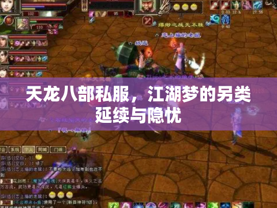 天龙八部私服，江湖梦的另类延续与隐忧